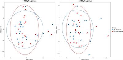 Akkermansia muciniphila is associated with normal muscle mass and Eggerthella is related with sarcopenia in cirrhosis